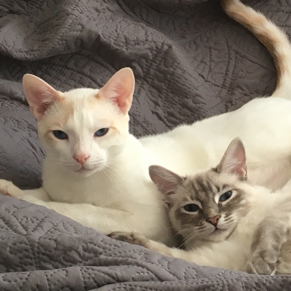 Meet your Posher, Meaghan